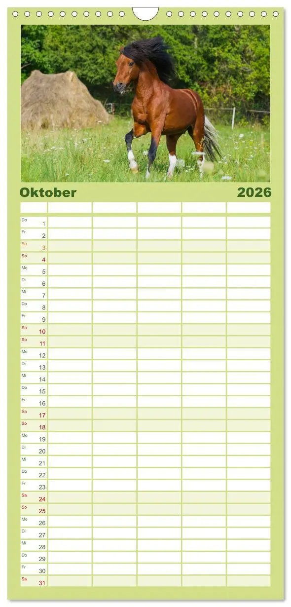 Bild: 9783516518146 | Familienplaner 2026 - Welt der Pferde mit 5 Spalten (Wandkalender,...