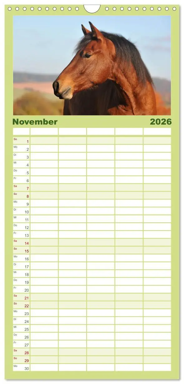 Bild: 9783516518146 | Familienplaner 2026 - Welt der Pferde mit 5 Spalten (Wandkalender,...