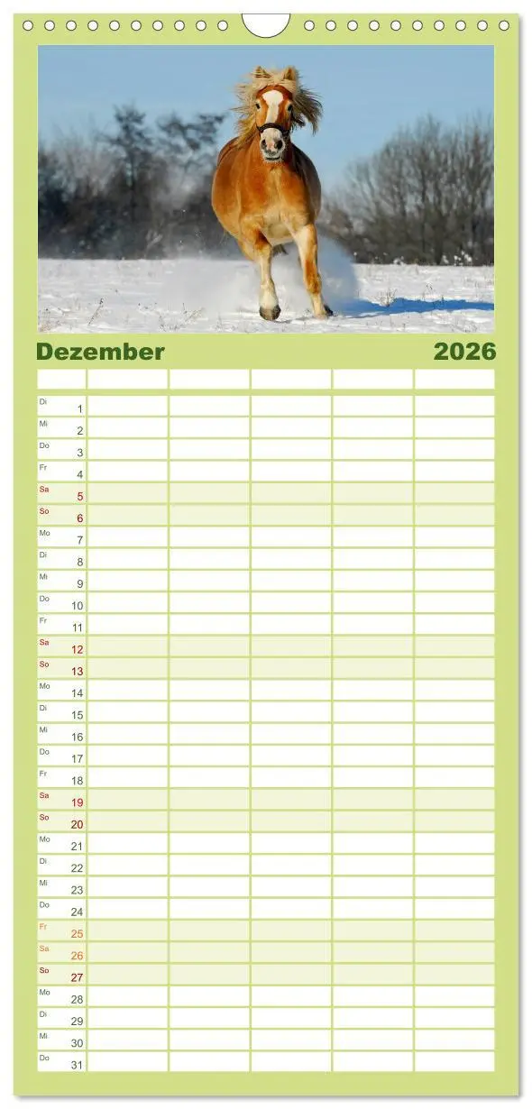 Bild: 9783516518146 | Familienplaner 2026 - Welt der Pferde mit 5 Spalten (Wandkalender,...