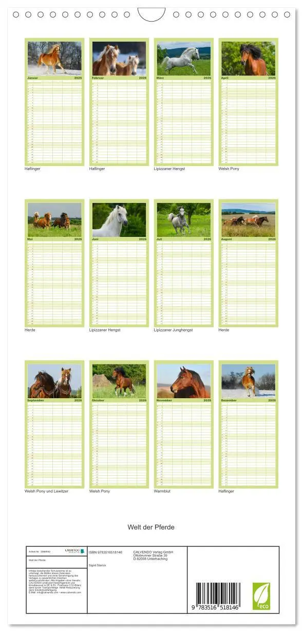 Bild: 9783516518146 | Familienplaner 2026 - Welt der Pferde mit 5 Spalten (Wandkalender,...