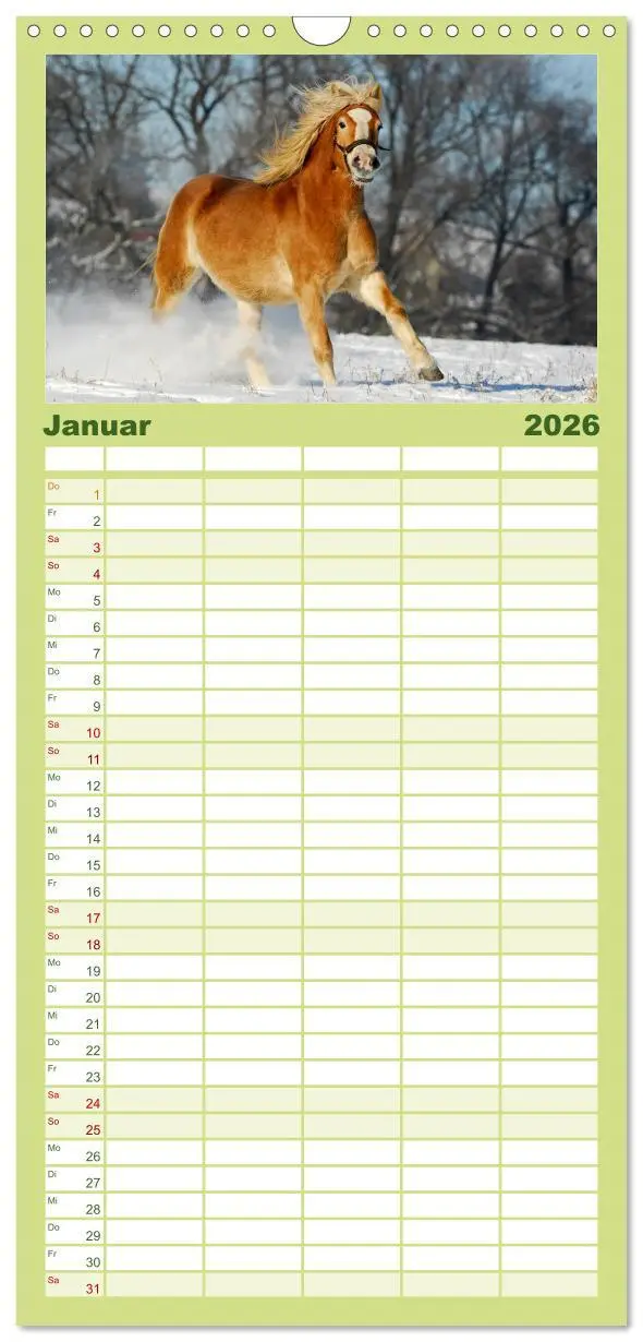 Bild: 9783516518146 | Familienplaner 2026 - Welt der Pferde mit 5 Spalten (Wandkalender,...
