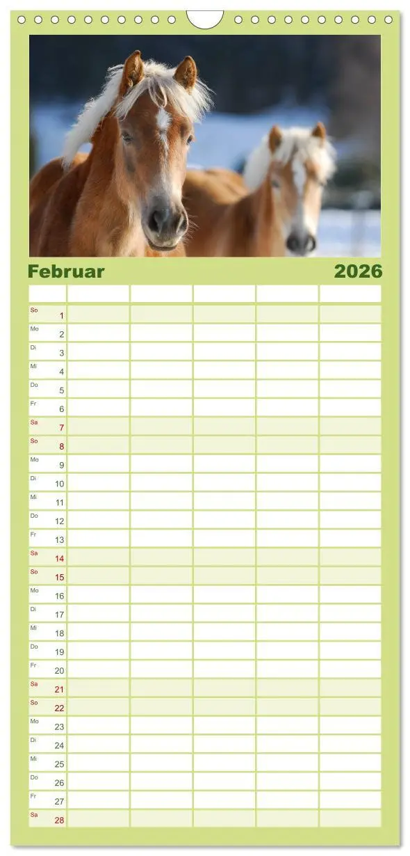 Bild: 9783516518146 | Familienplaner 2026 - Welt der Pferde mit 5 Spalten (Wandkalender,...