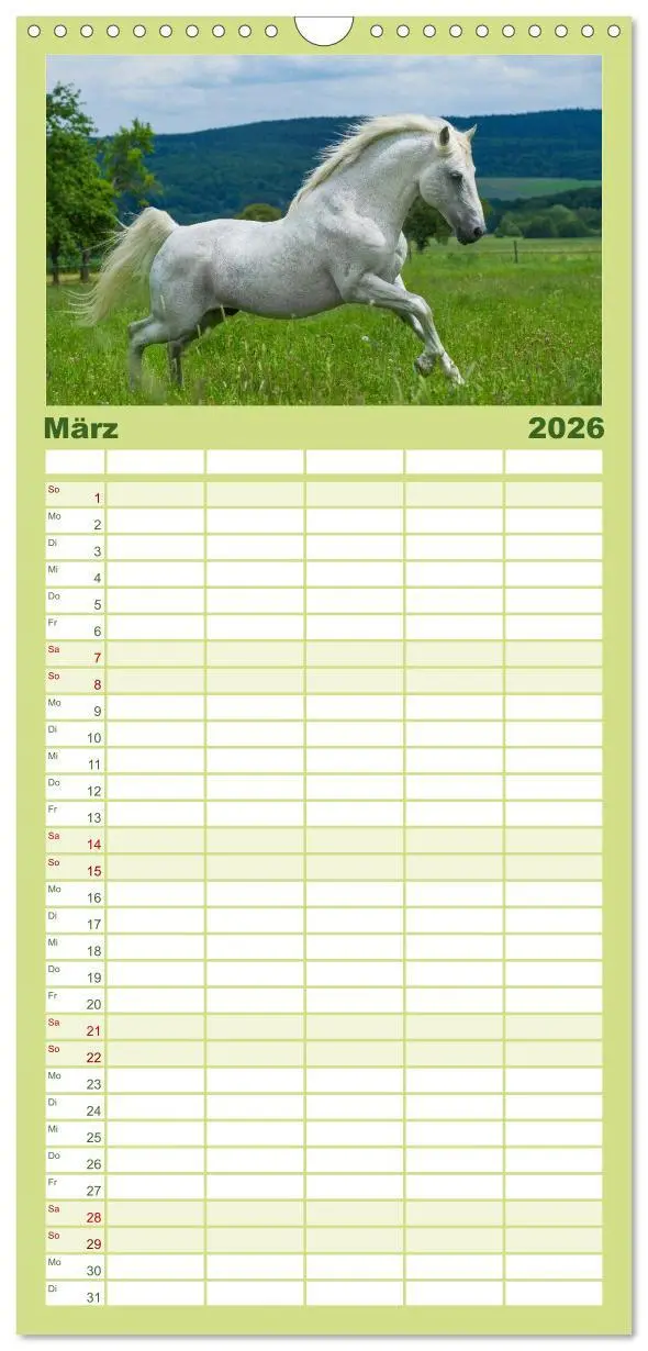 Bild: 9783516518146 | Familienplaner 2026 - Welt der Pferde mit 5 Spalten (Wandkalender,...