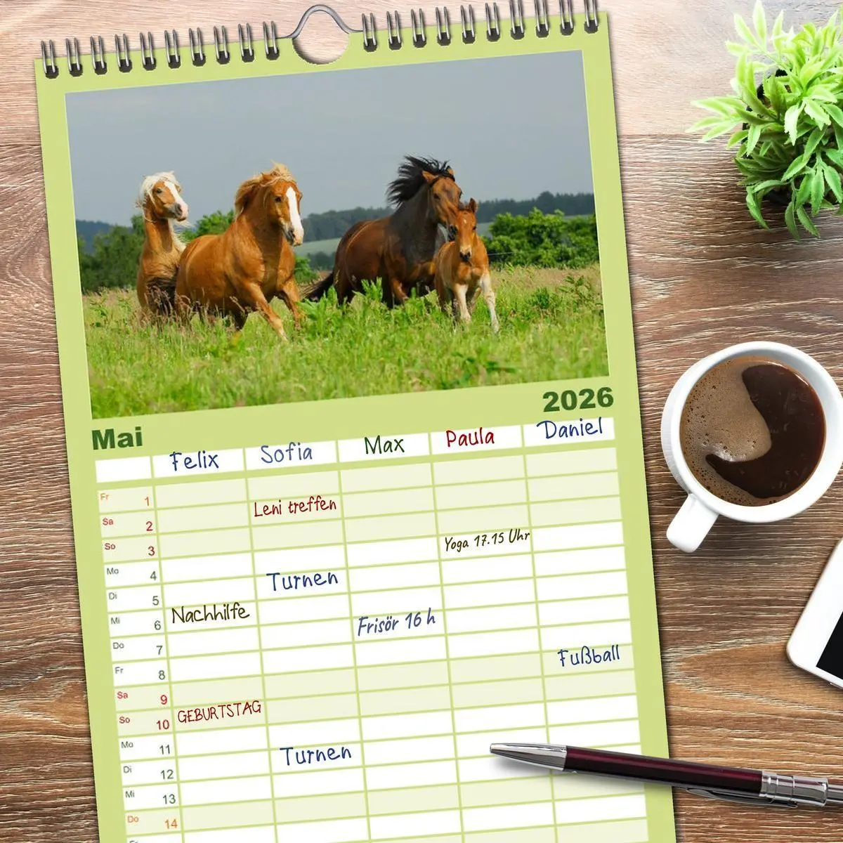 Bild: 9783516518146 | Familienplaner 2026 - Welt der Pferde mit 5 Spalten (Wandkalender,...