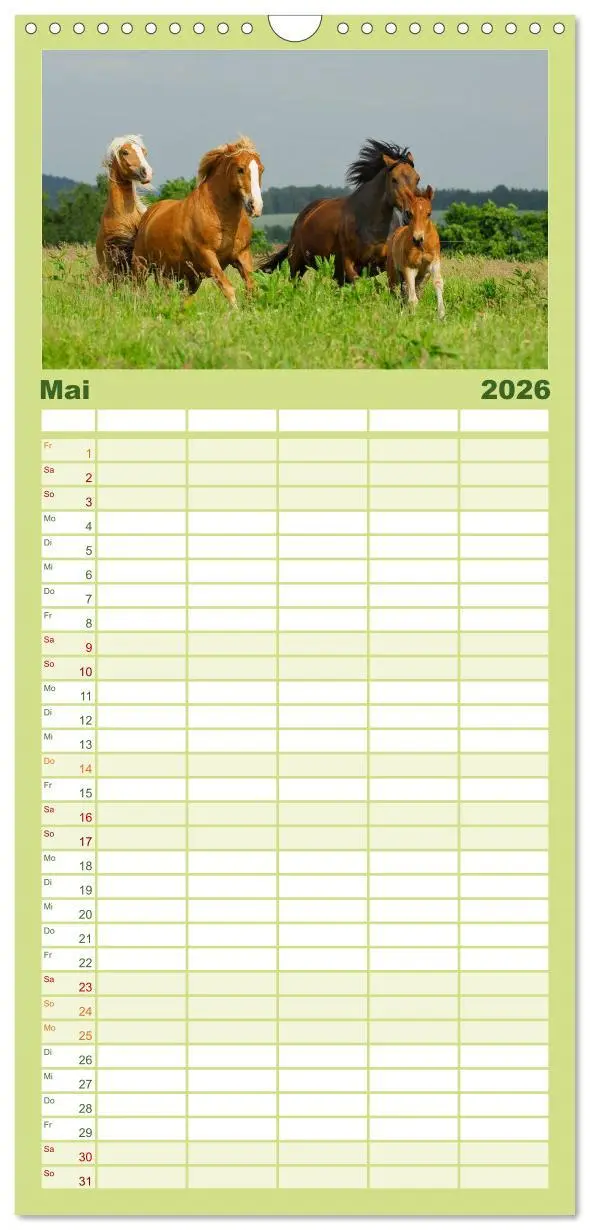 Bild: 9783516518146 | Familienplaner 2026 - Welt der Pferde mit 5 Spalten (Wandkalender,...
