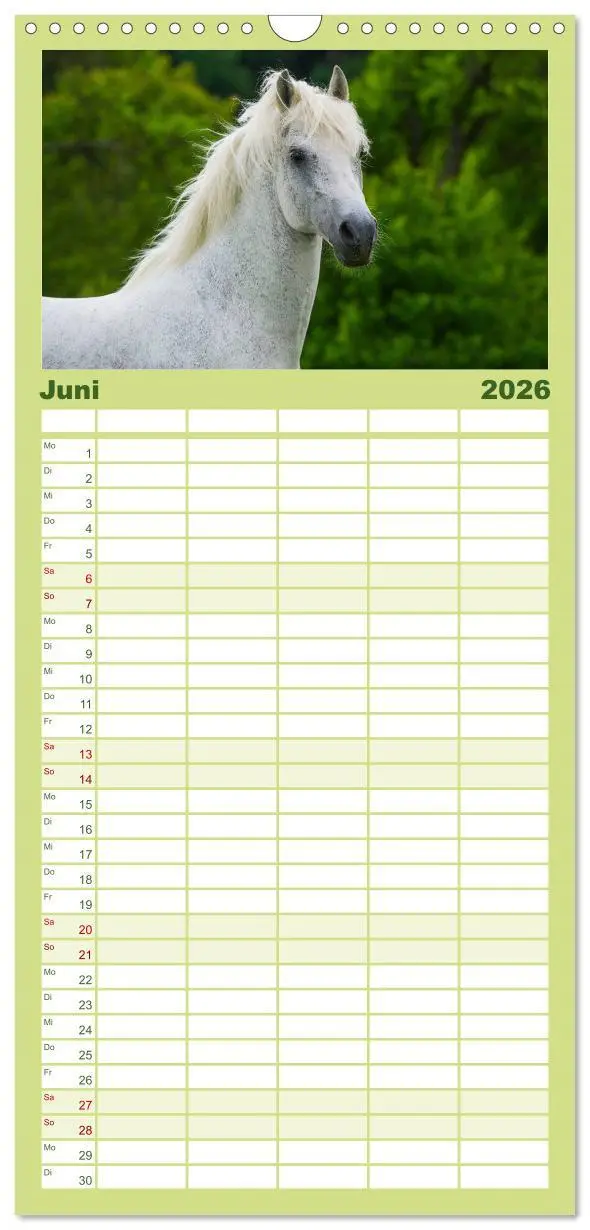 Bild: 9783516518146 | Familienplaner 2026 - Welt der Pferde mit 5 Spalten (Wandkalender,...