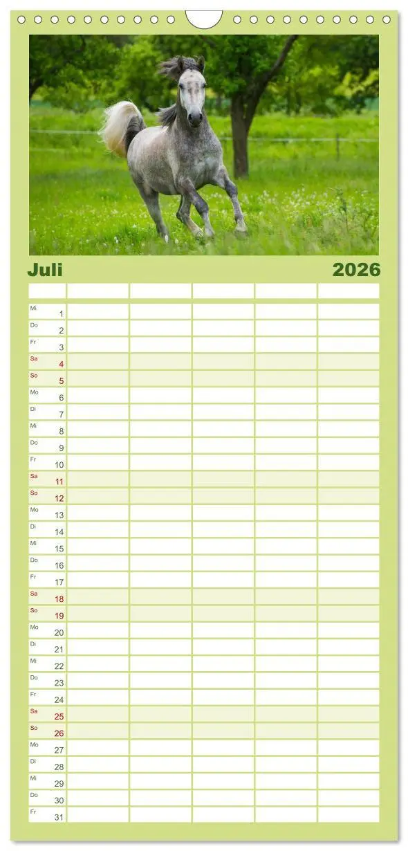 Bild: 9783516518146 | Familienplaner 2026 - Welt der Pferde mit 5 Spalten (Wandkalender,...