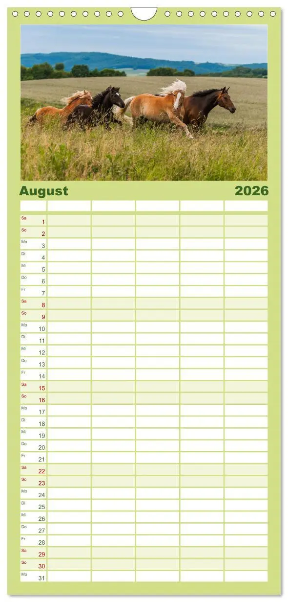 Bild: 9783516518146 | Familienplaner 2026 - Welt der Pferde mit 5 Spalten (Wandkalender,...