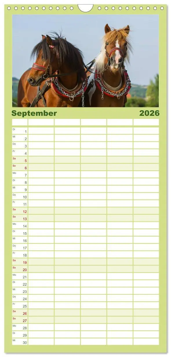 Bild: 9783516518146 | Familienplaner 2026 - Welt der Pferde mit 5 Spalten (Wandkalender,...