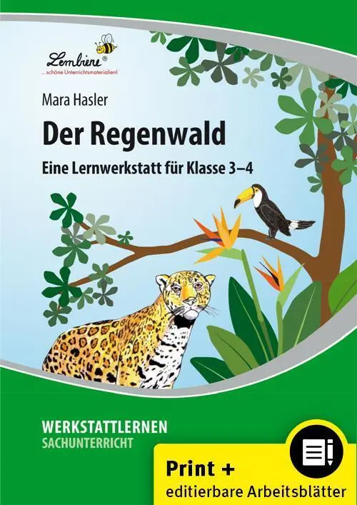 Cover: 9783869988146 | Der Regenwald | (3. und 4. Klasse) | Mara Hasler | Bundle | E-Bundle