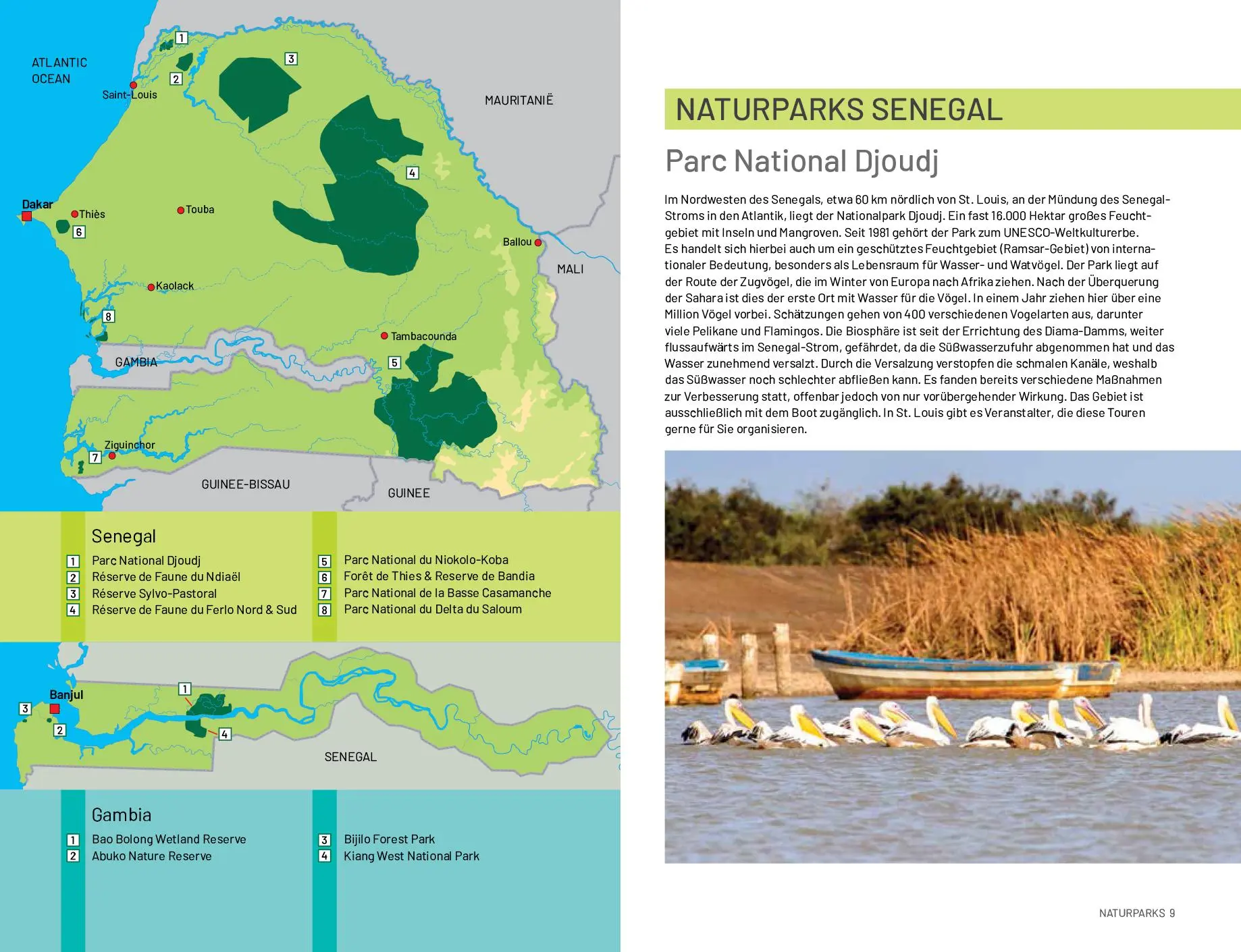 Bild: 9789082208146 | Safari-Reiseführer Gambia &amp; Senegal | Ruud Troost | Taschenbuch | 2020