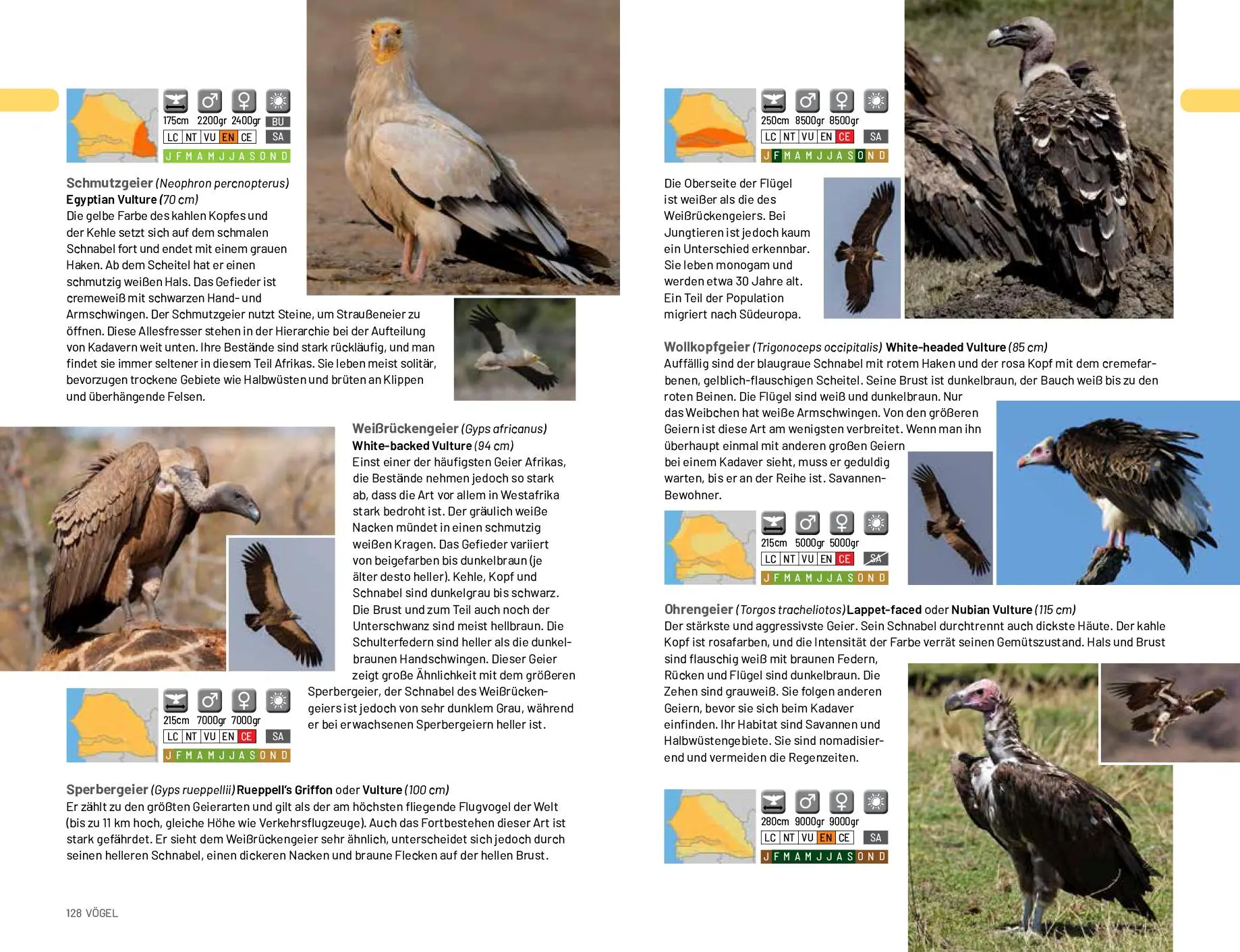 Bild: 9789082208146 | Safari-Reiseführer Gambia &amp; Senegal | Ruud Troost | Taschenbuch | 2020