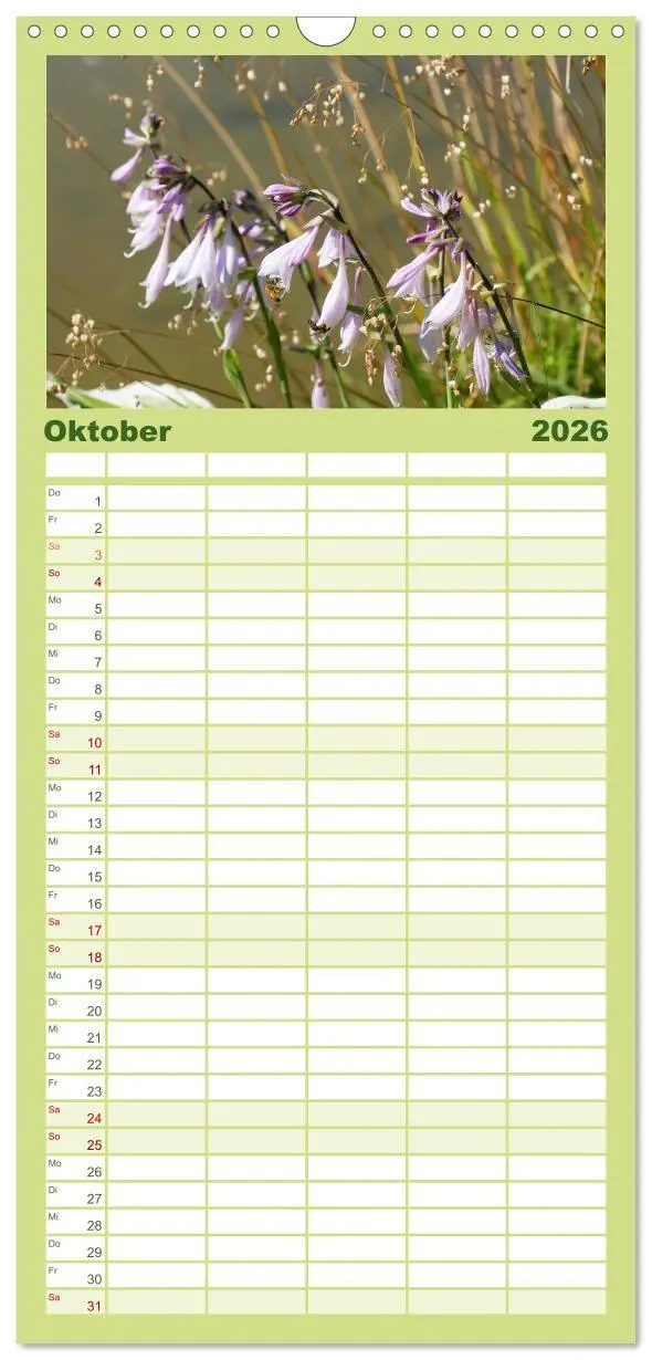 Bild: 9783516508246 | Familienplaner 2026 - Sanfte Natur mit 5 Spalten (Wandkalender, 21...