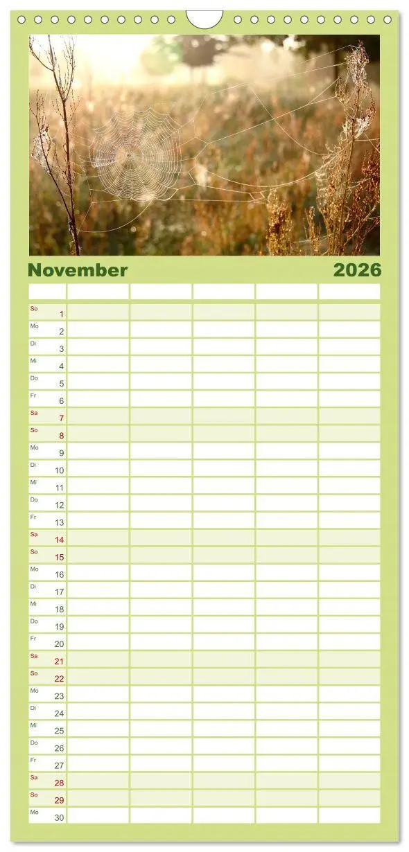 Bild: 9783516508246 | Familienplaner 2026 - Sanfte Natur mit 5 Spalten (Wandkalender, 21...