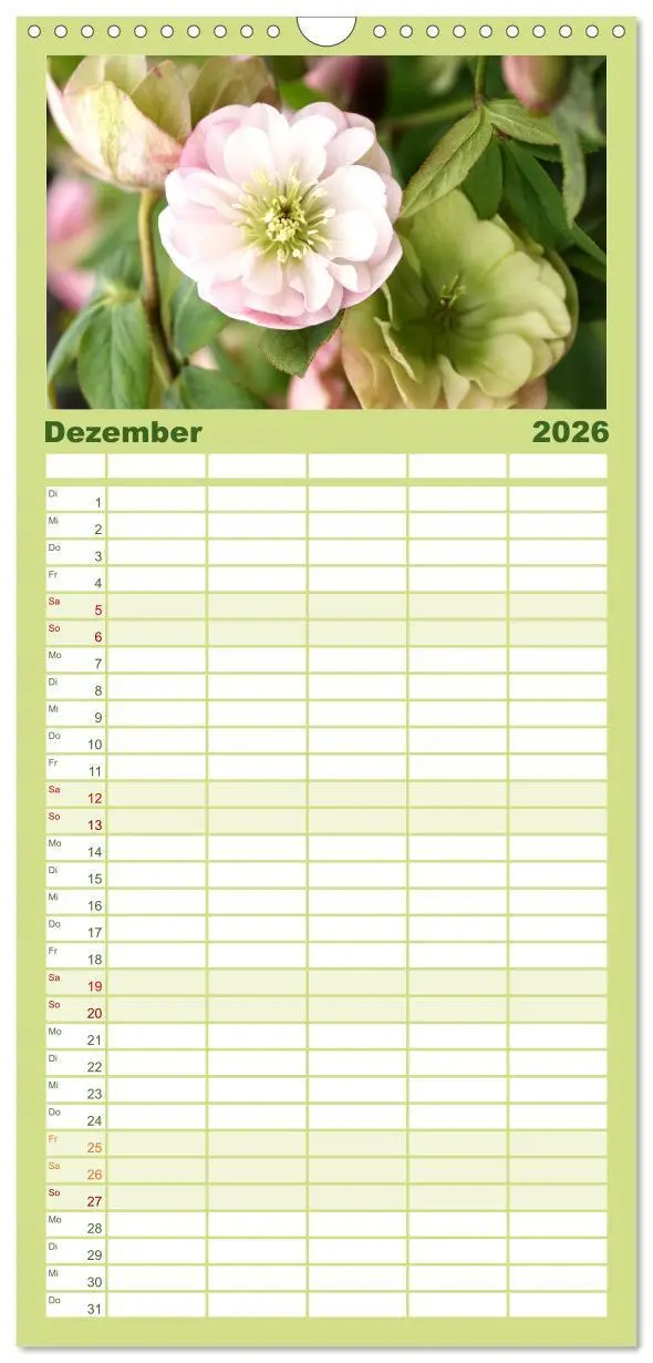 Bild: 9783516508246 | Familienplaner 2026 - Sanfte Natur mit 5 Spalten (Wandkalender, 21...