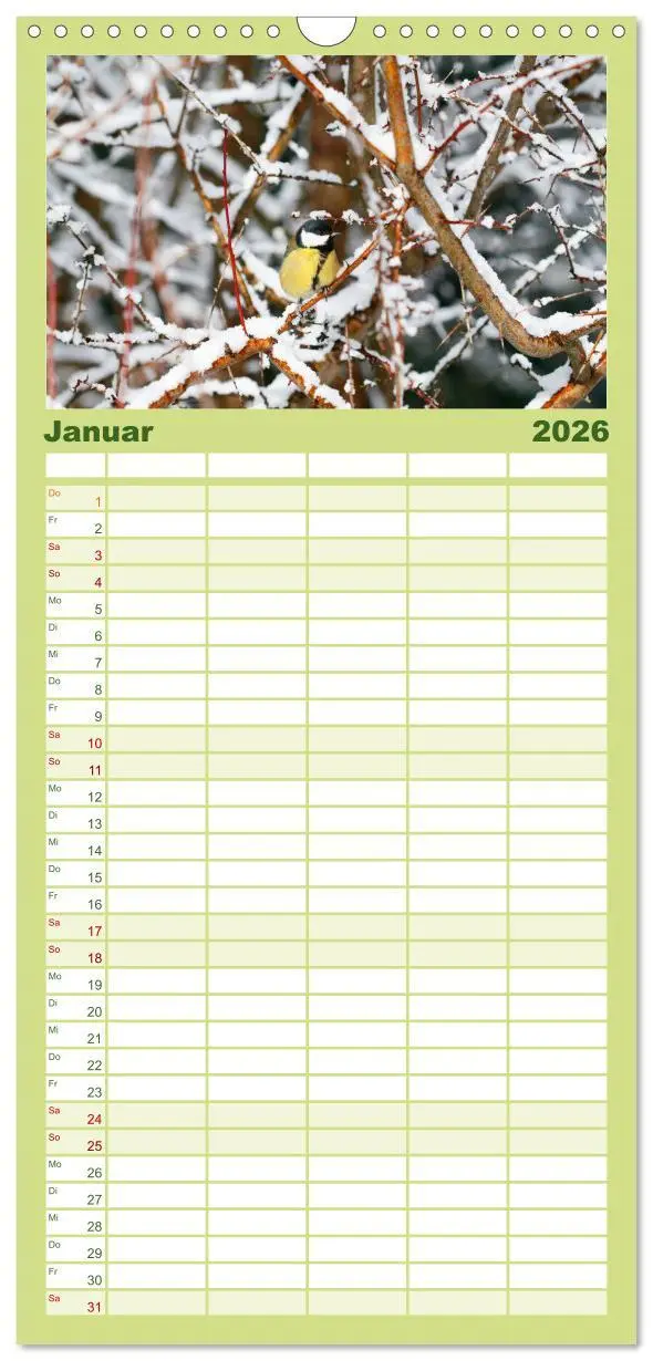 Bild: 9783516508246 | Familienplaner 2026 - Sanfte Natur mit 5 Spalten (Wandkalender, 21...