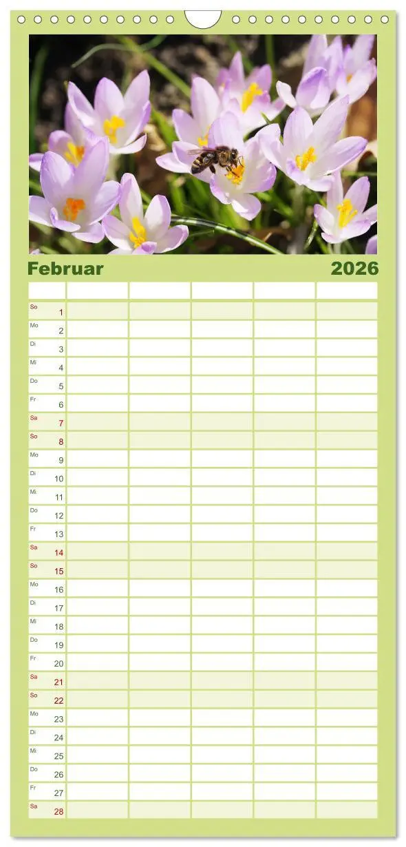 Bild: 9783516508246 | Familienplaner 2026 - Sanfte Natur mit 5 Spalten (Wandkalender, 21...