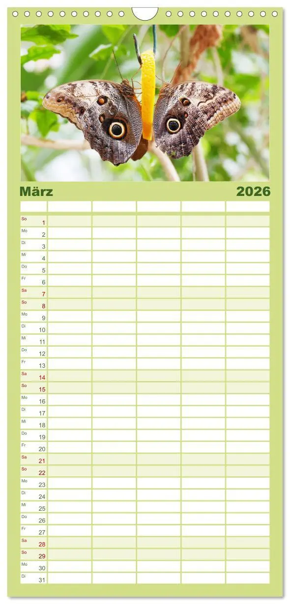 Bild: 9783516508246 | Familienplaner 2026 - Sanfte Natur mit 5 Spalten (Wandkalender, 21...