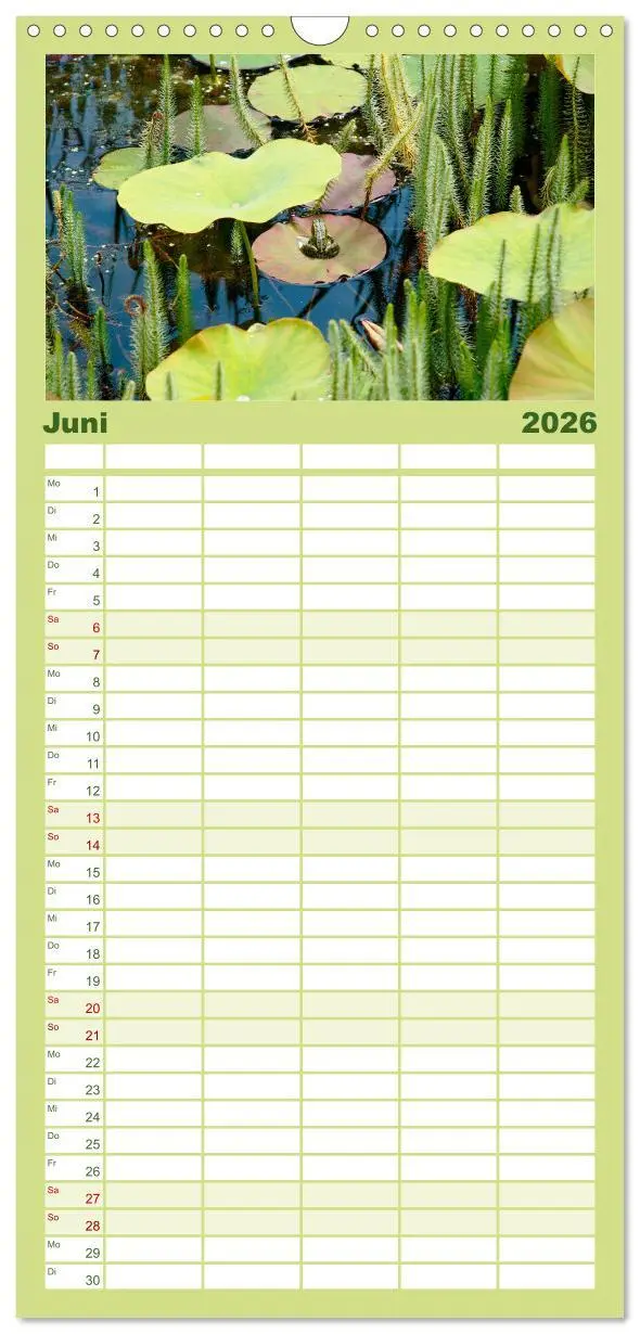 Bild: 9783516508246 | Familienplaner 2026 - Sanfte Natur mit 5 Spalten (Wandkalender, 21...