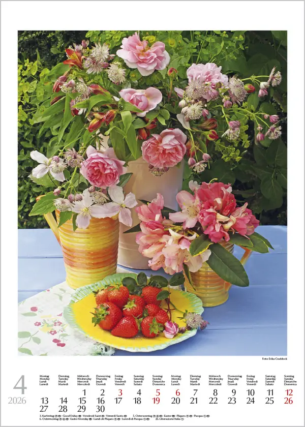 Bild: 9783731888246 | Blumenträume 2026 | Korsch Verlag | Kalender | Spiralbindung | Deutsch
