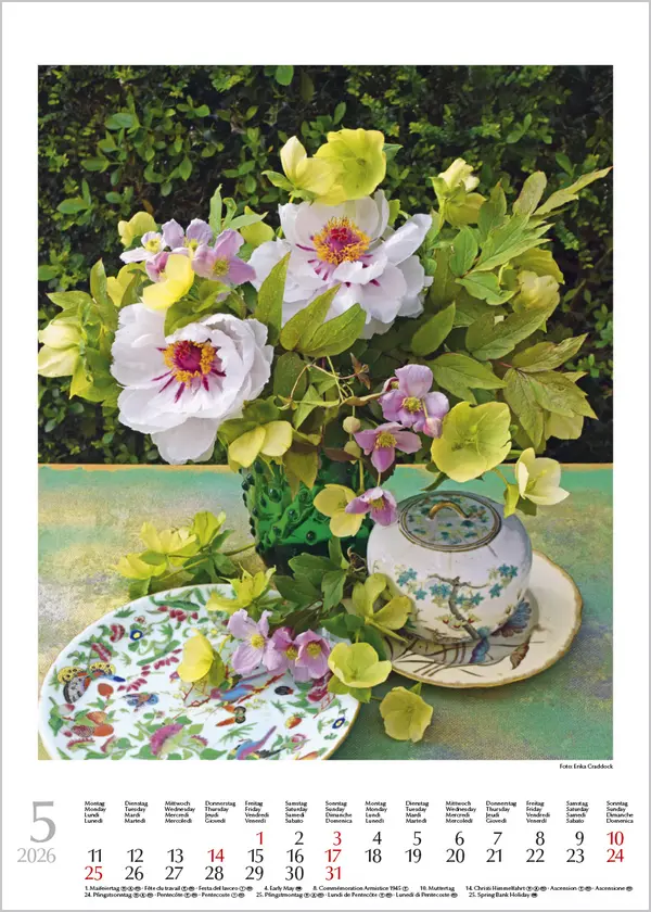 Bild: 9783731888246 | Blumenträume 2026 | Korsch Verlag | Kalender | Spiralbindung | Deutsch