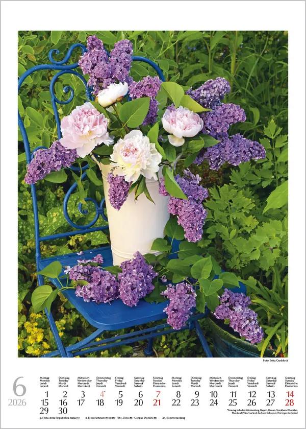 Bild: 9783731888246 | Blumenträume 2026 | Korsch Verlag | Kalender | Spiralbindung | Deutsch