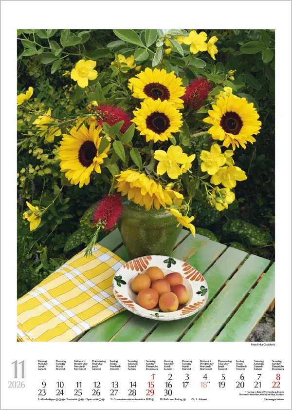 Bild: 9783731888246 | Blumenträume 2026 | Korsch Verlag | Kalender | Spiralbindung | Deutsch