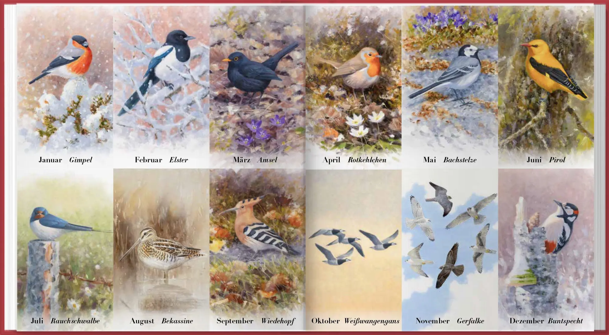 Bild: 9783784358246 | Der illustrierte Vogelkalender 2027 | Niklas Aronsson | Kalender