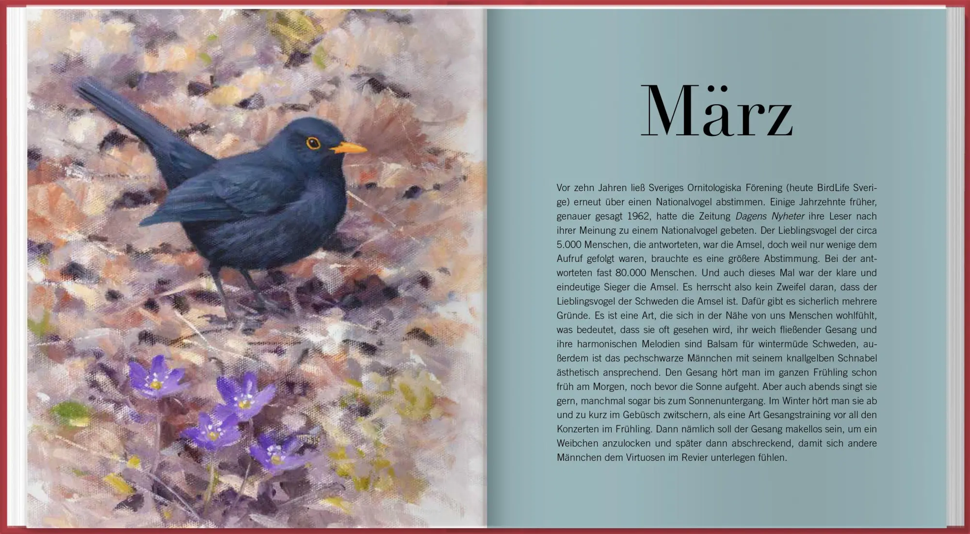 Bild: 9783784358246 | Der illustrierte Vogelkalender 2027 | Niklas Aronsson | Kalender