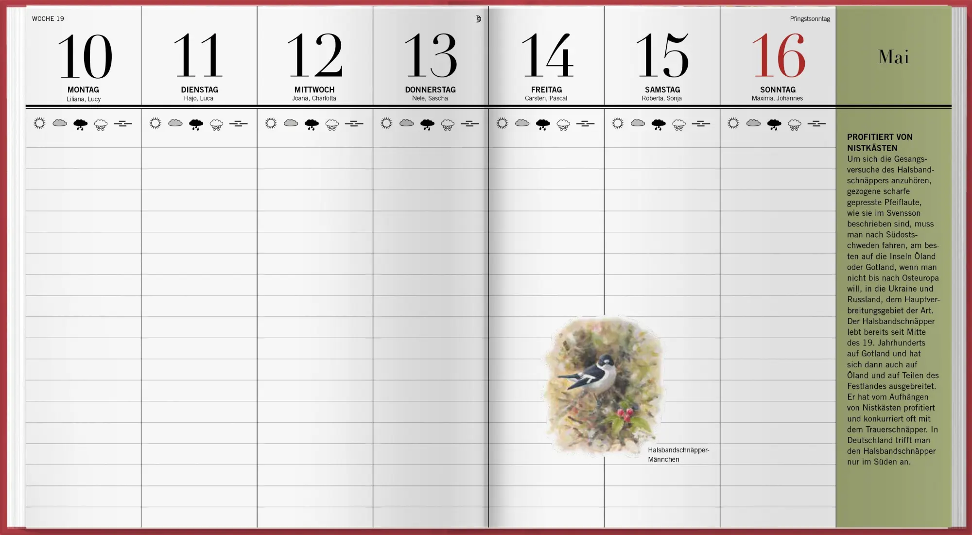 Bild: 9783784358246 | Der illustrierte Vogelkalender 2027 | Niklas Aronsson | Kalender