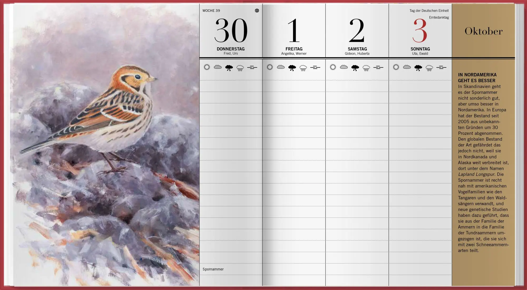 Bild: 9783784358246 | Der illustrierte Vogelkalender 2027 | Niklas Aronsson | Kalender