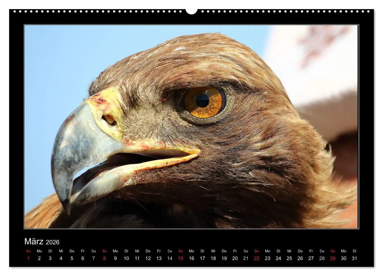 Bild: 9783457958346 | Unbekanntes Kirgistan (Wandkalender 2026 DIN A2 quer), CALVENDO...