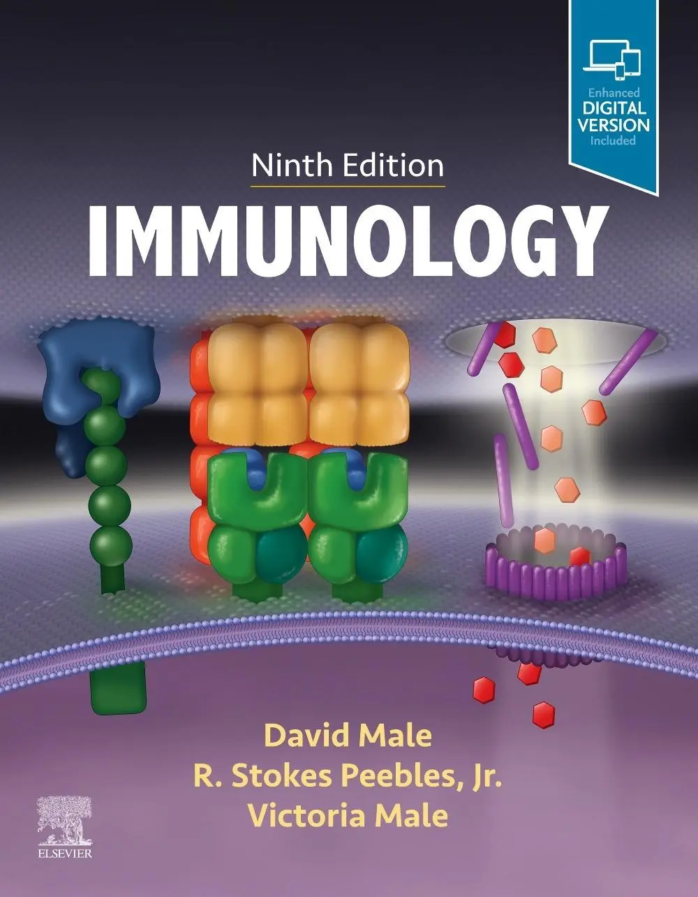 Cover: 9780702078446 | Immunology | David Male (u. a.) | Buch | Kartoniert / Broschiert