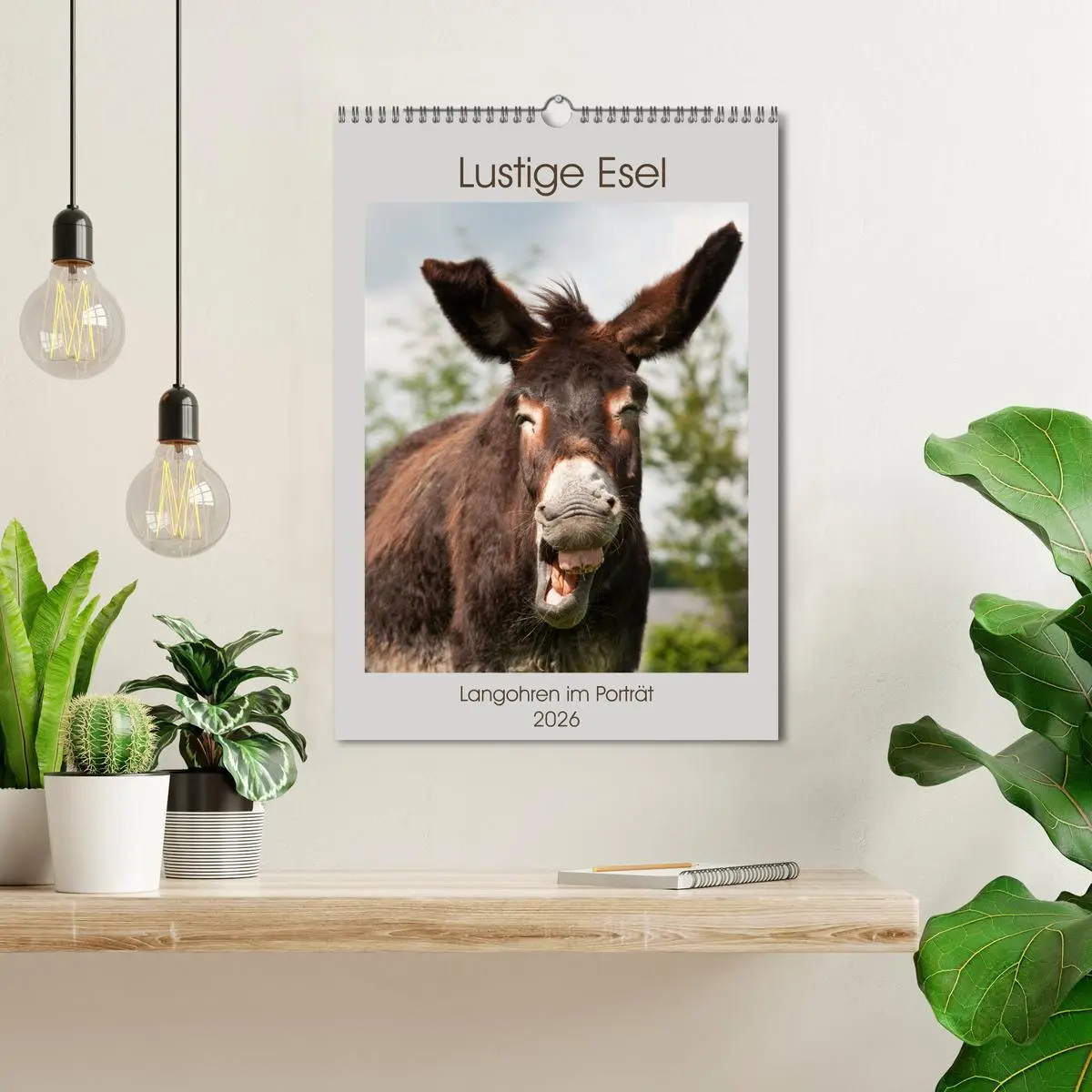 Bild: 9783516418446 | Lustige Esel - Langohren im Porträt (Wandkalender 2026 DIN A3...