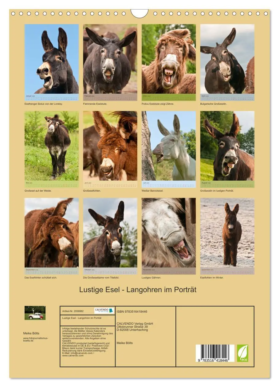 Bild: 9783516418446 | Lustige Esel - Langohren im Porträt (Wandkalender 2026 DIN A3...