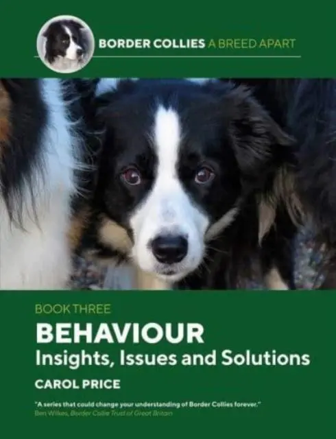 Cover: 9781910488546 | Behaviour: INsights, Issues and Solutions | Carol Price | Taschenbuch
