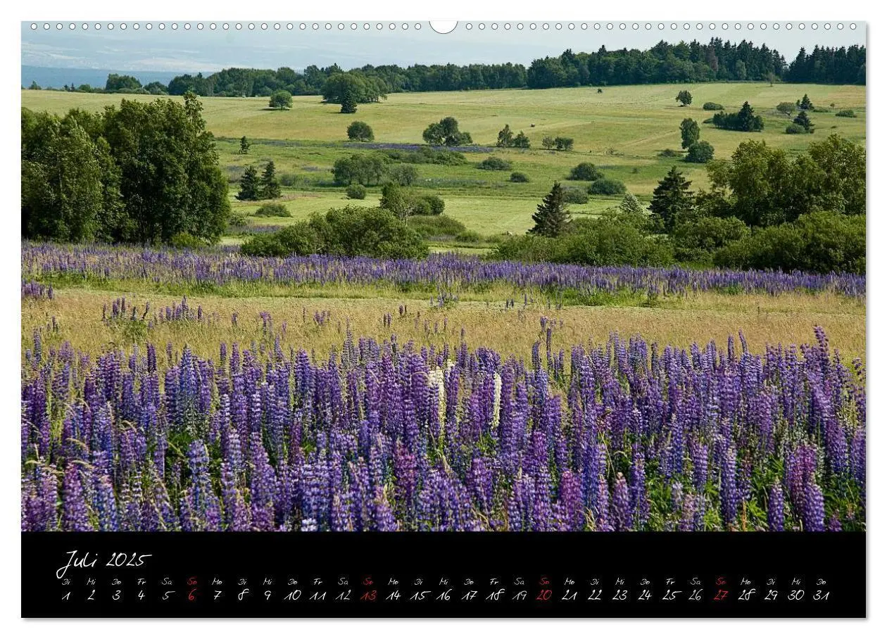 Bild: 9783435778546 | RHÖN = SCHÖN (Wandkalender 2025 DIN A2 quer), CALVENDO Monatskalender