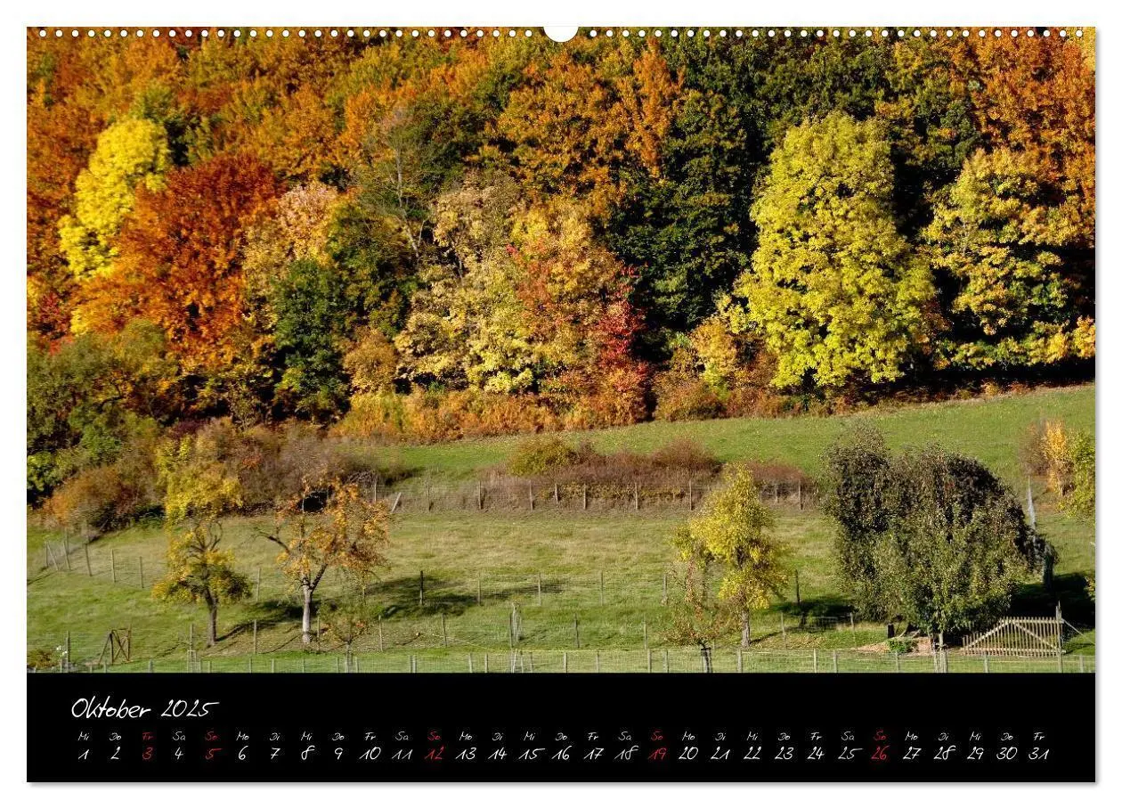 Bild: 9783435778546 | RHÖN = SCHÖN (Wandkalender 2025 DIN A2 quer), CALVENDO Monatskalender