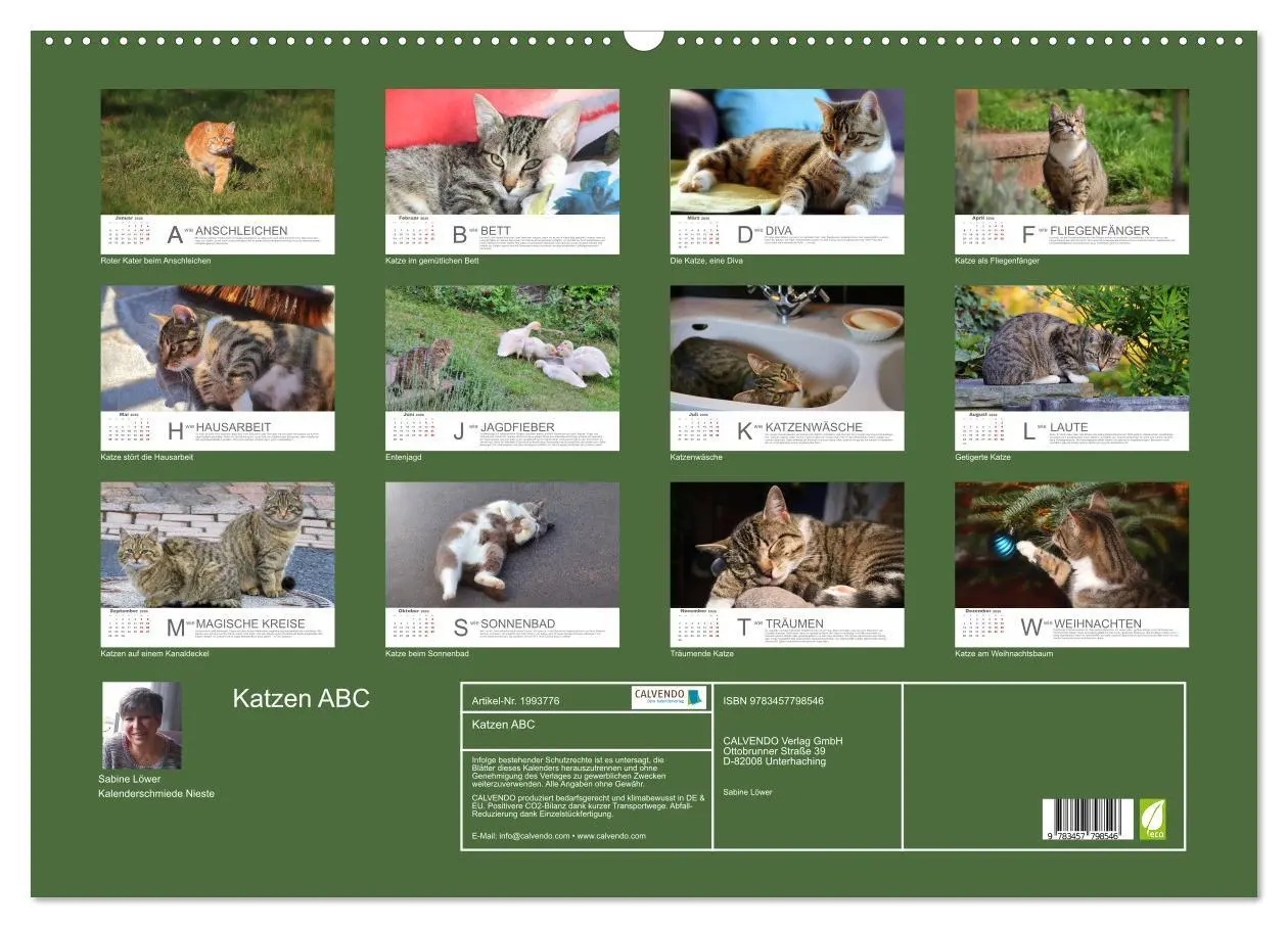 Bild: 9783457798546 | Katzen ABC (Wandkalender 2026 DIN A2 quer), CALVENDO Monatskalender
