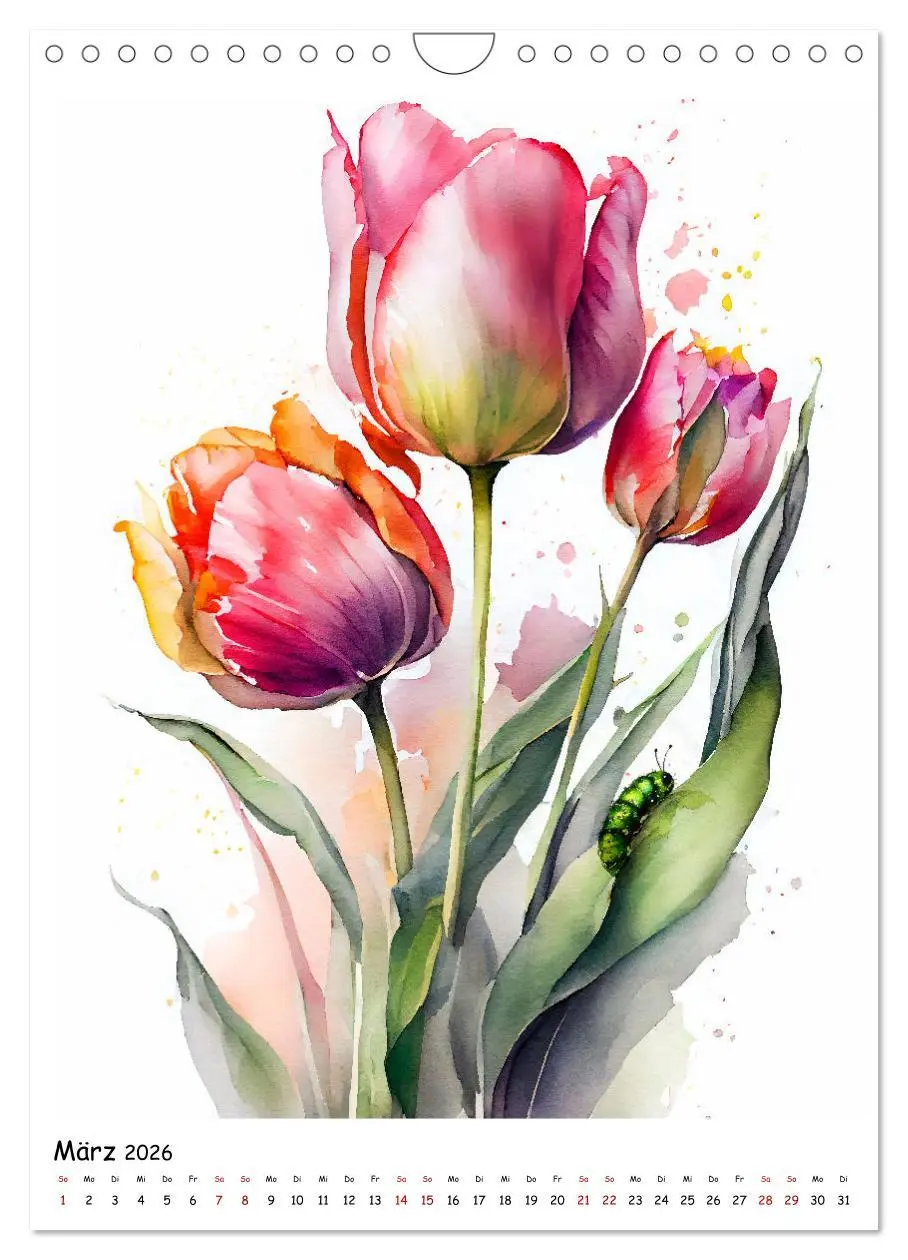 Bild: 9783516328646 | Aquarellmalerei - Blumen und Tiere im Garten (Wandkalender 2026 DIN...