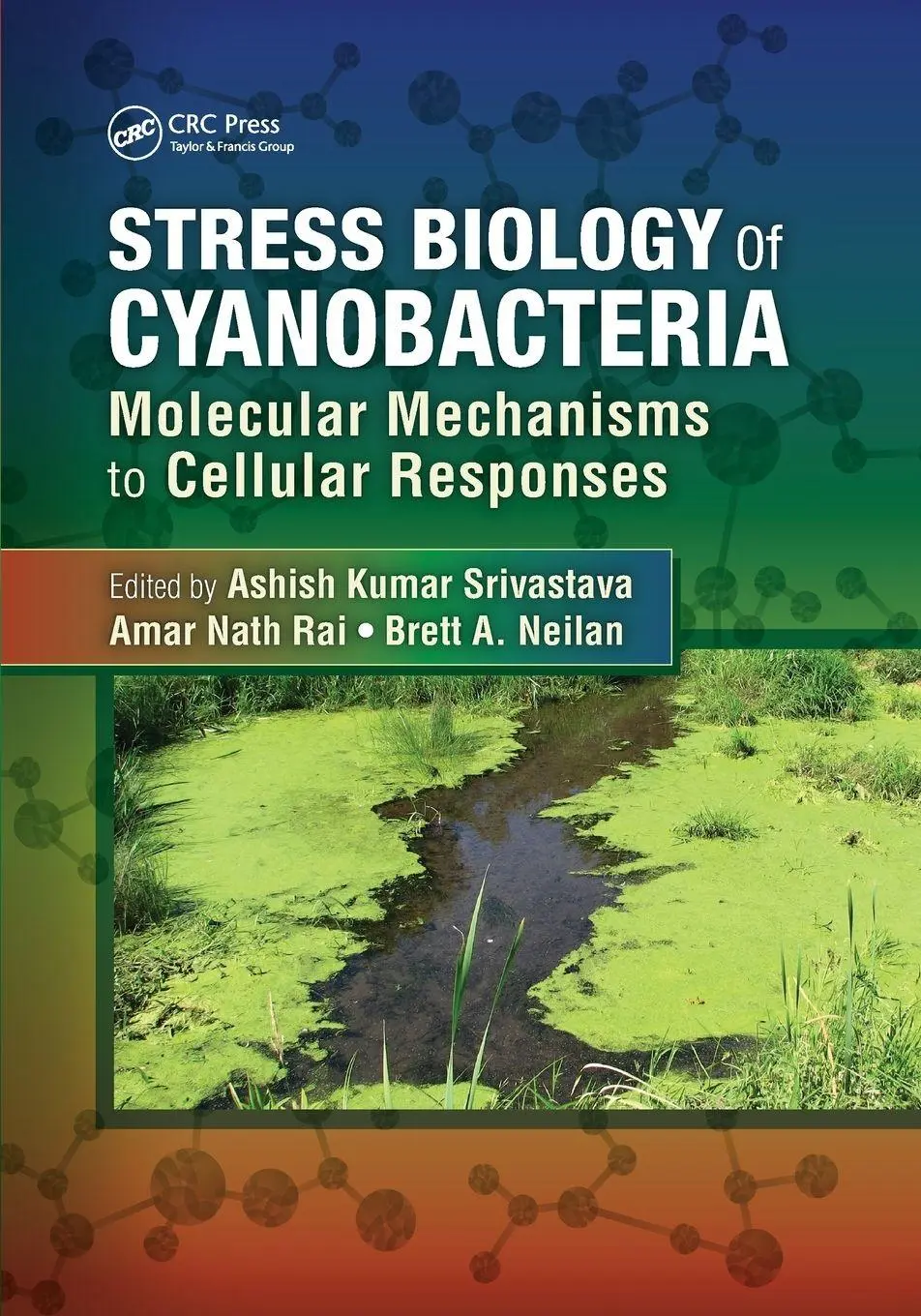 Cover: 9781138198746 | Stress Biology of Cyanobacteria | Ashish Kumar Srivastava (u. a.)