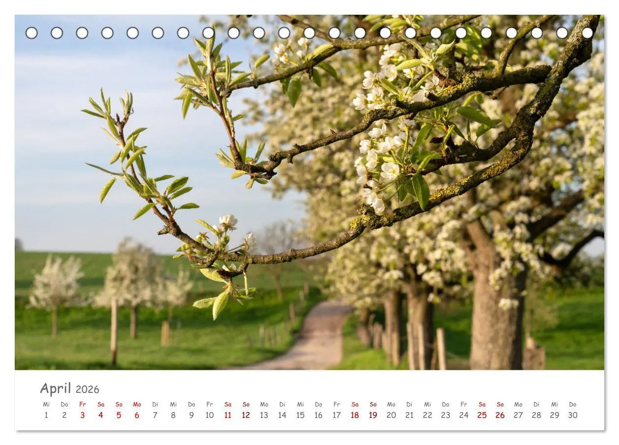 Bild: 9783457608746 | Heimat Entdecken: Bergisches Land (Tischkalender 2026 DIN A5 quer),...