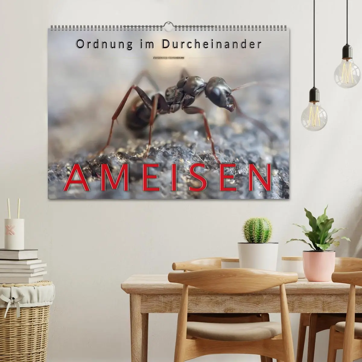 Bild: 9783457848746 | Ameisen - Ordnung im Durcheinander (Wandkalender 2026 DIN A2 quer),...