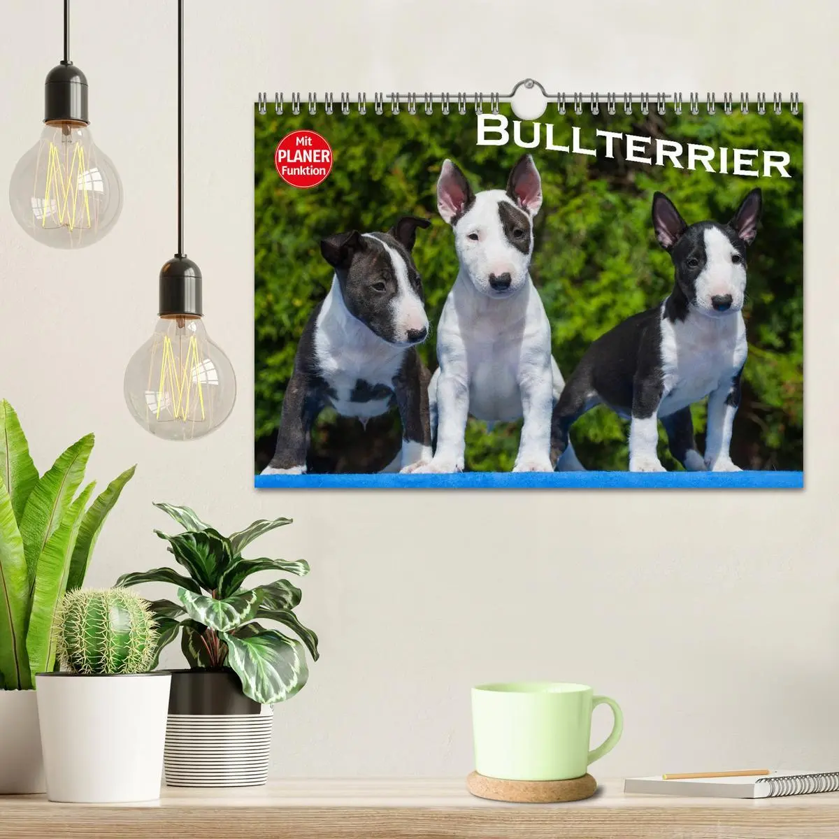 Bild: 9783516008746 | Bullterrier (Wandkalender 2026 DIN A4 quer), CALVENDO Monatskalender