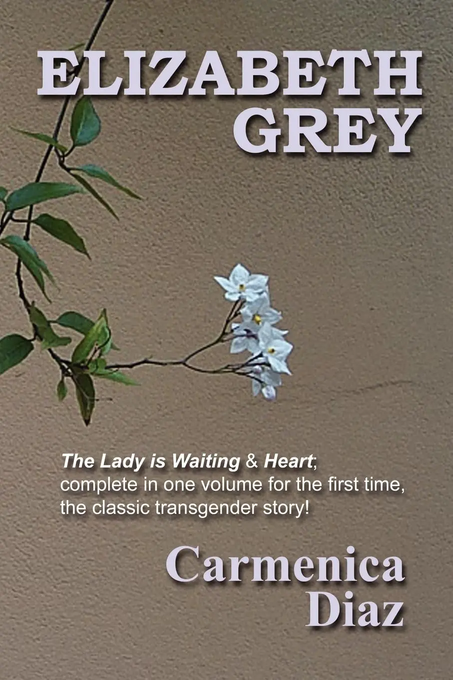 Cover: 9781411638846 | Elizabeth Grey | Carmenica Diaz | Taschenbuch | Englisch | 2005