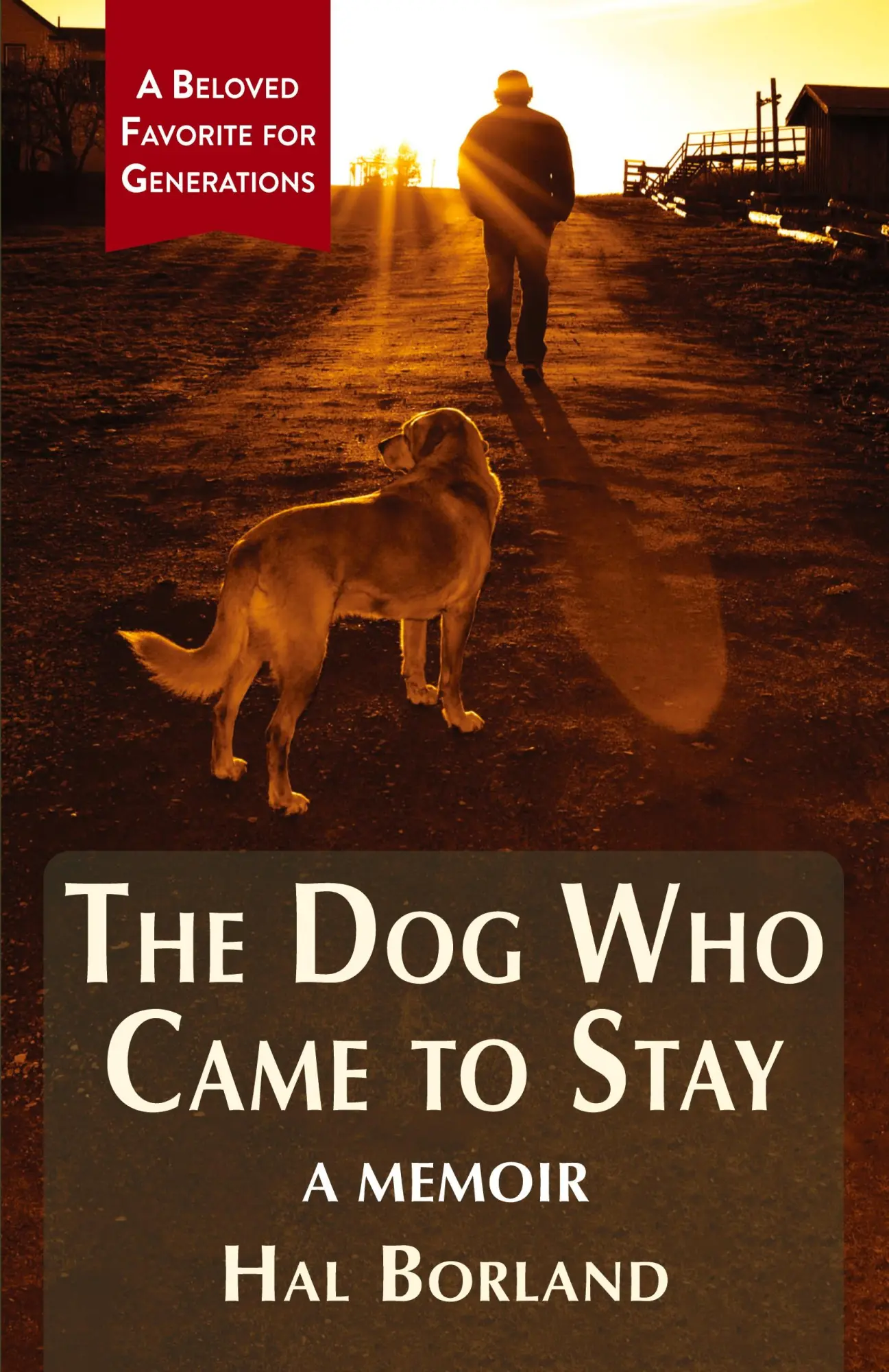 Cover: 9781635618846 | The Dog Who Came to Stay | A Memoir | Hal Borland | Taschenbuch | 2020