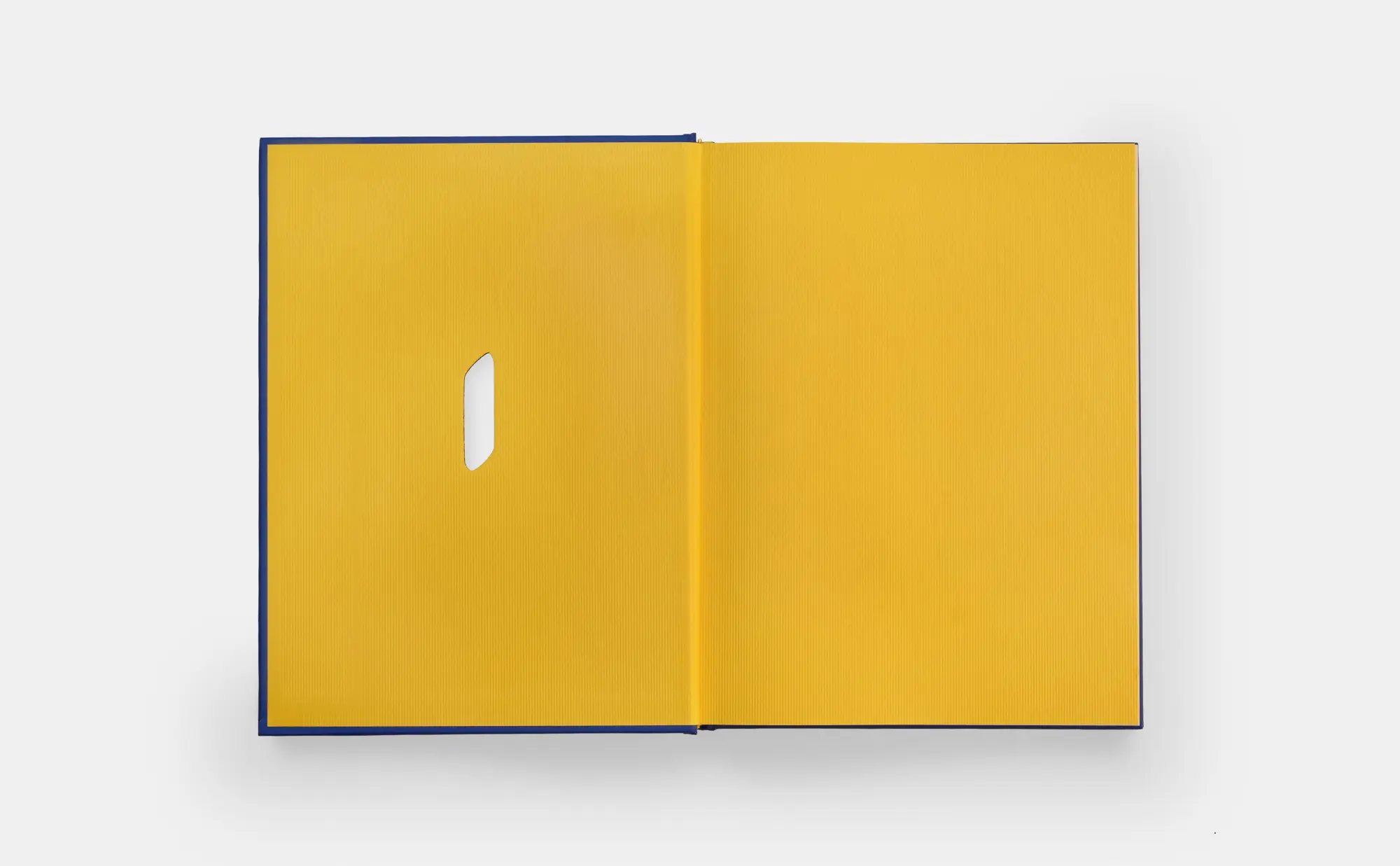 Bild: 9781838668846 | The Book of Pasta | Academia Barilla (u. a.) | Buch | Phaidon Press