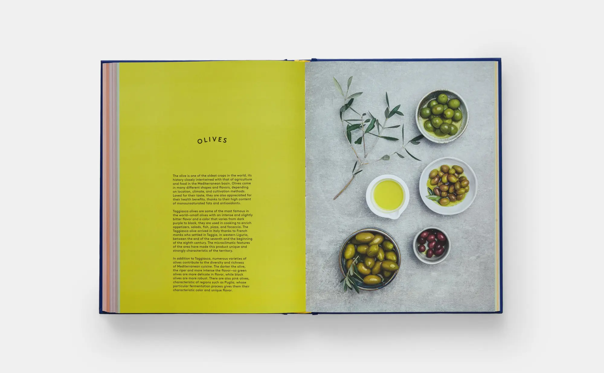 Bild: 9781838668846 | The Book of Pasta | Academia Barilla (u. a.) | Buch | Phaidon Press