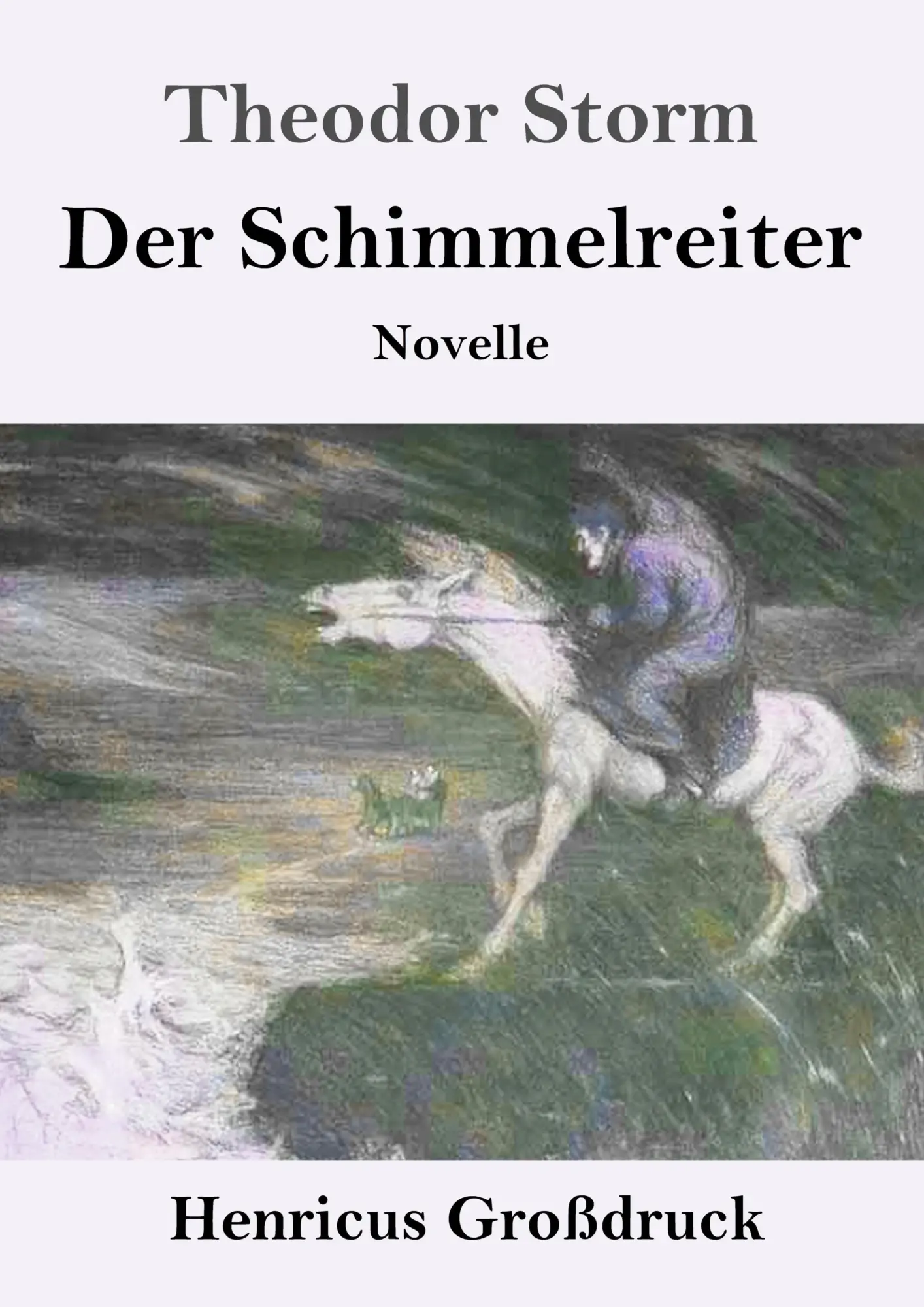 Cover: 9783847828846 | Der Schimmelreiter (Großdruck) | Novelle | Theodor Storm | Taschenbuch