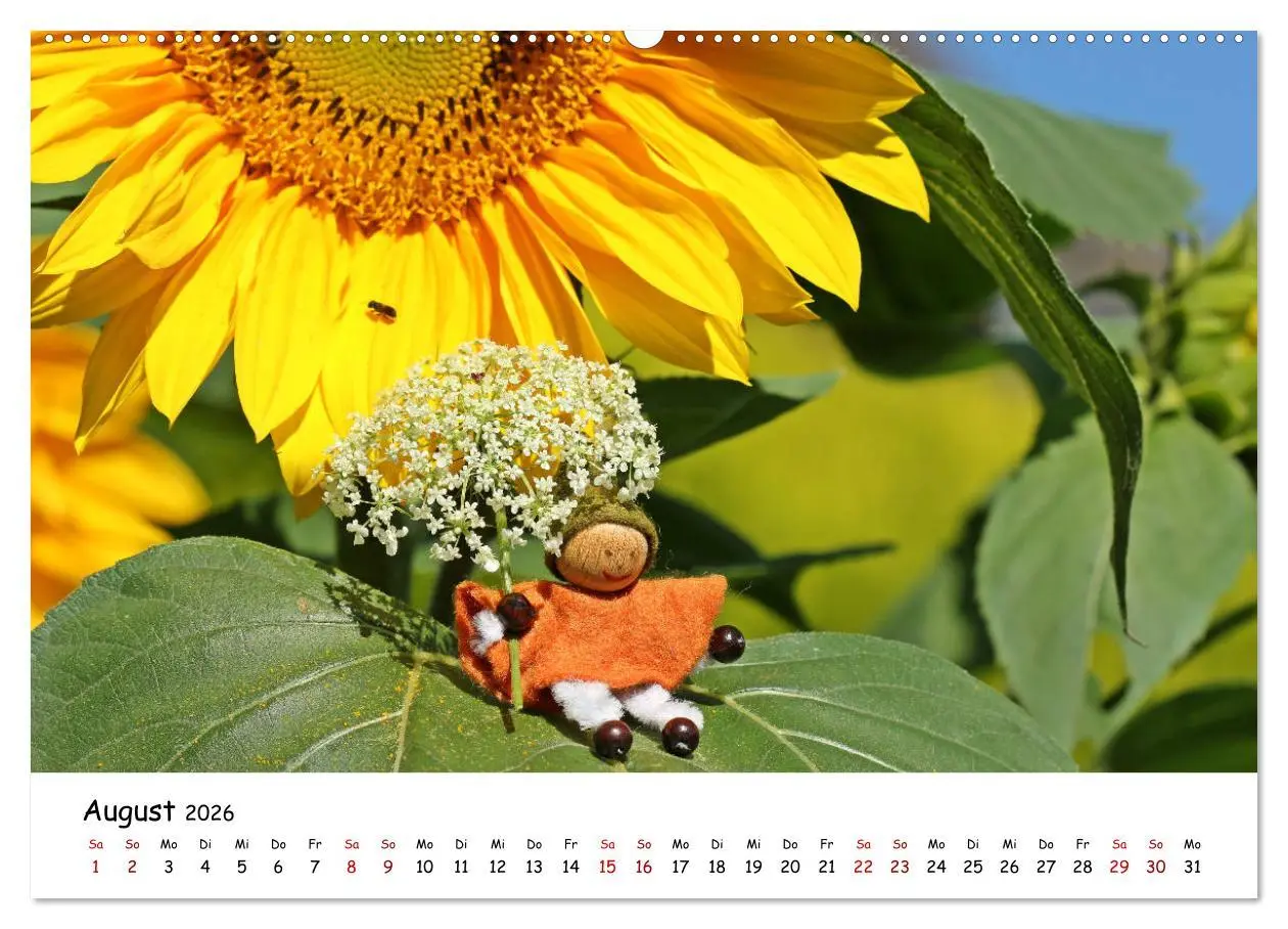 Bild: 9783457758946 | Die Abenteuer der vier kleinen Wichtel (hochwertiger Premium...
